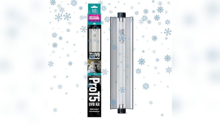 Best UVB Lighting Plan for African Grey (Vet-Guided) to Boost Health