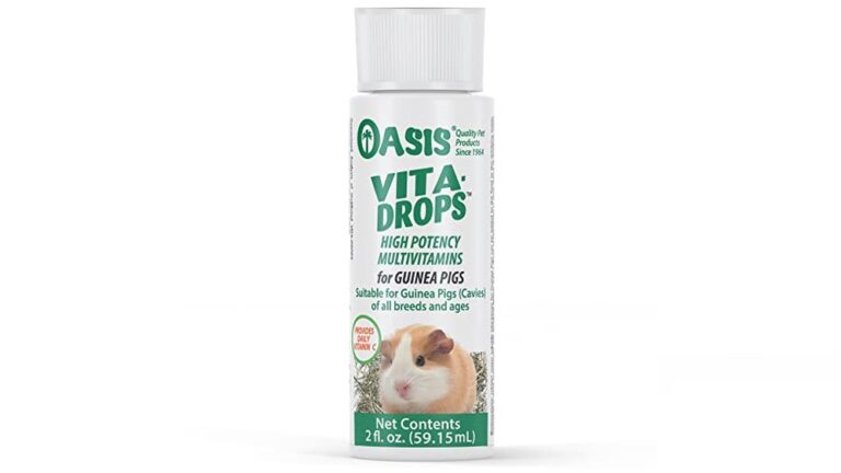 Best Vitamin C Drops for Guinea Pigs (Stable) to Boost Health Naturally