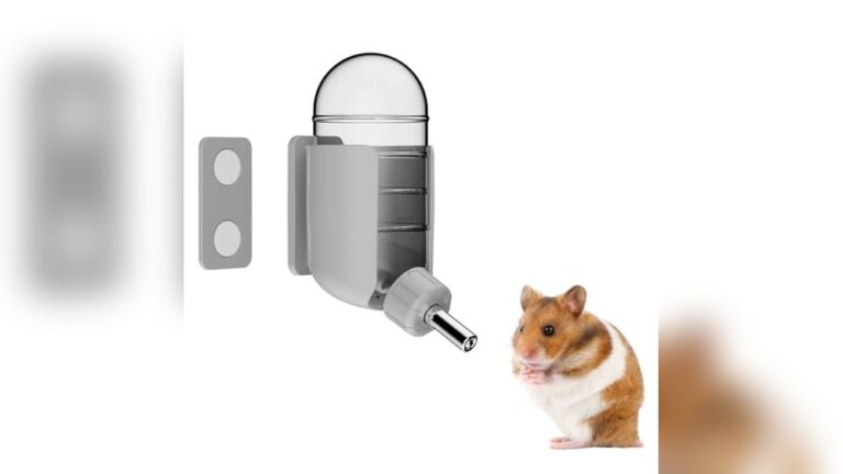 Best Water Bottle for Degus (Glass) – Durable, Leakproof, and Safe