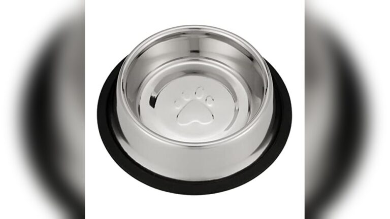 Best Water Bottle Or Dish (No Tip) for Spill-Free Pet Hydration