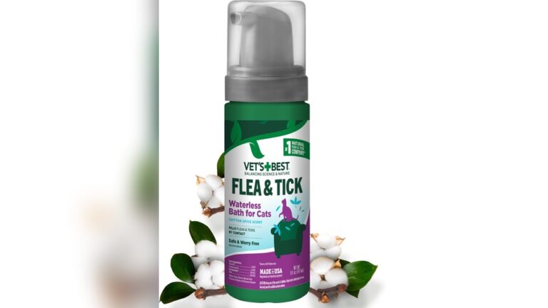 Best Waterless Shampoo for Cats: Top Picks for Easy Grooming