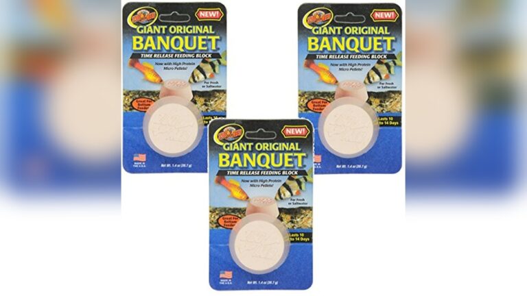 Best Weekend Feeder Blocks (Backup) for Hassle-Free Fish Feeding