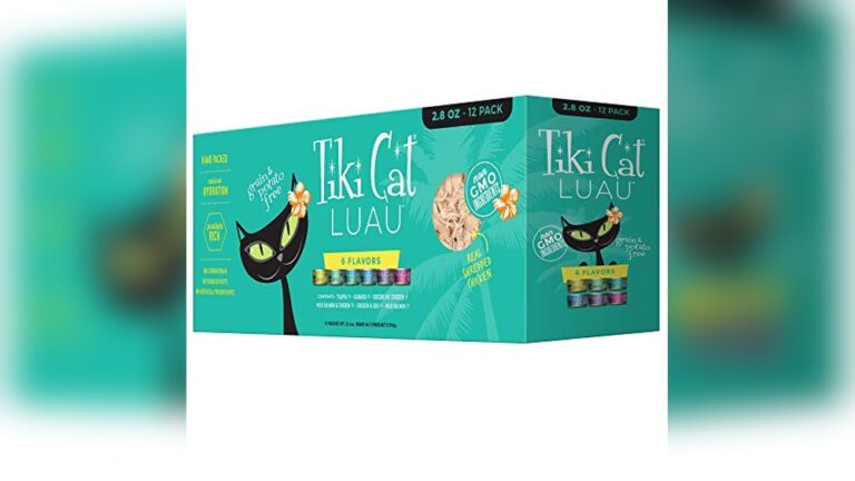 Best Wet Cat Food for Diabetic Cats: Top Healthy Choices Reviewed