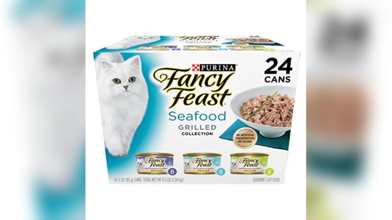 Best Wet Cat Food for Indoor Cats: Top Tasty & Nutritious Picks