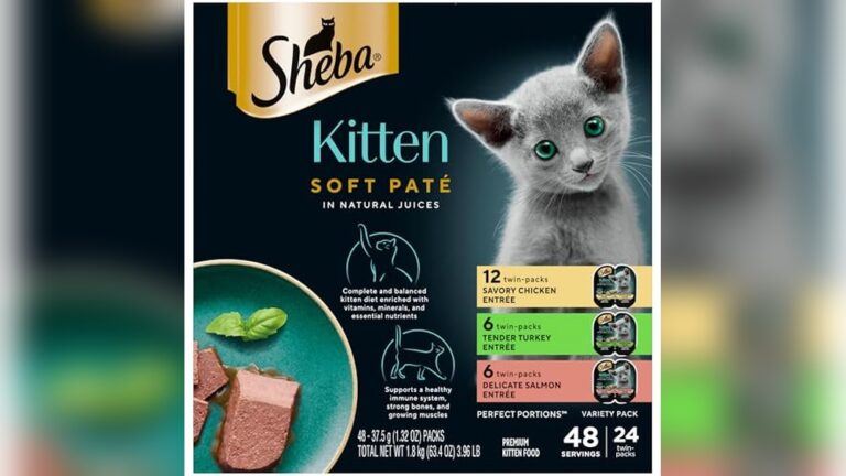 Best Wet Cat Food for Kittens: Top Nutritious Picks for Healthy Growth