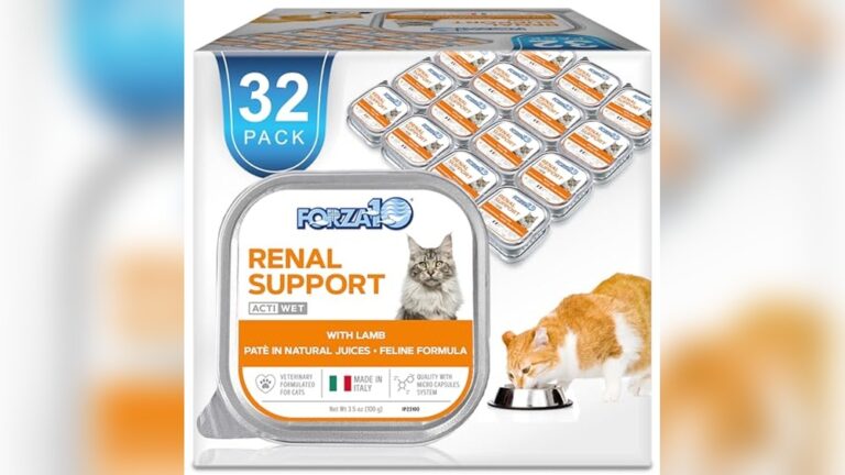 Best Wet Cat Food for Renal Support: Top Vet-Recommended Choices