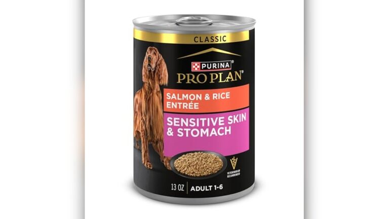 Best Wet Dog Food for Sensitive Stomach: Top Gentle Recipes Reviewed