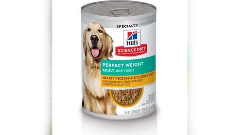best wet dog food for weight loss
