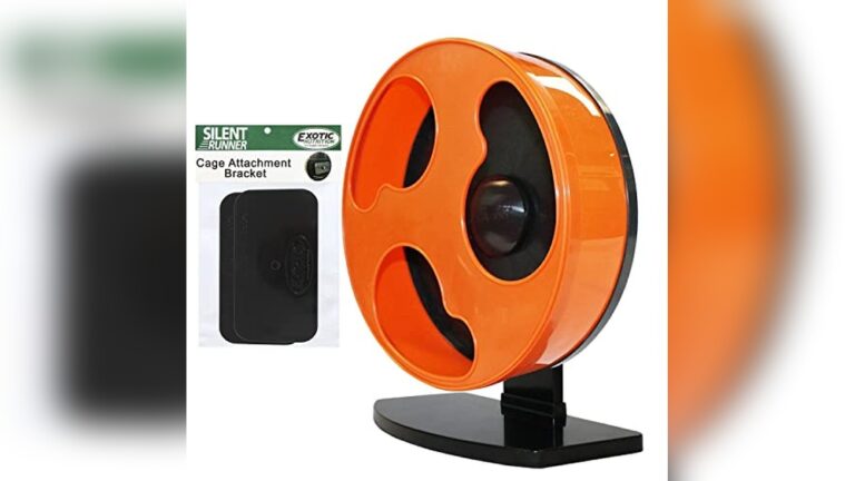 Best Wheel for Sugar Gliders (No Axle) to Keep Pets Happy