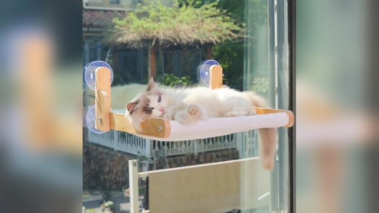 Best Window Perch for Rabbits (Secure) to Keep Your Pets Cozy