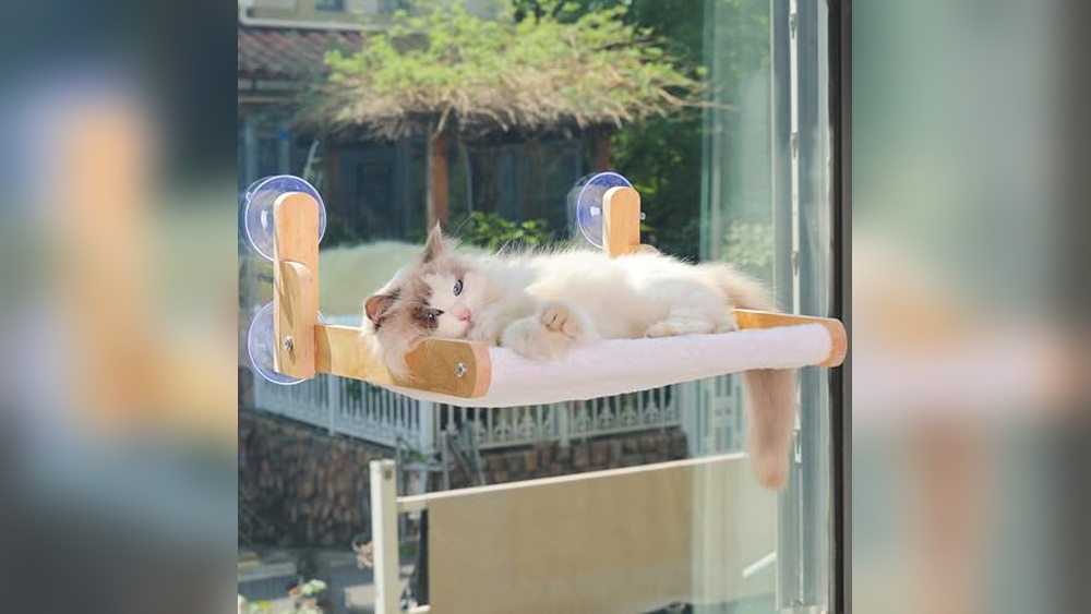 Best Window Perch for Rabbits (Secure) to Keep Your Pets Cozy