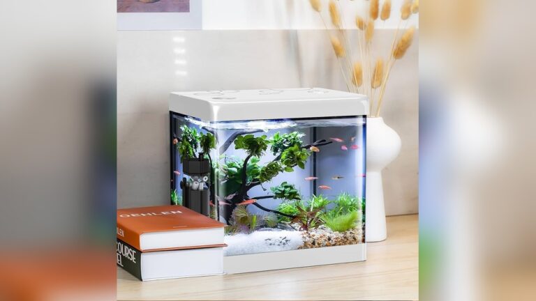 Betta Fish Tanks