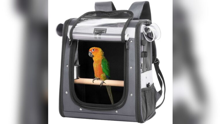 Bird Carrying Backpack The Ultimate Guide