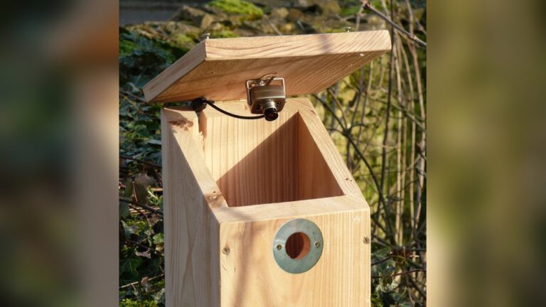 Bird Nesting Boxes With Cameras