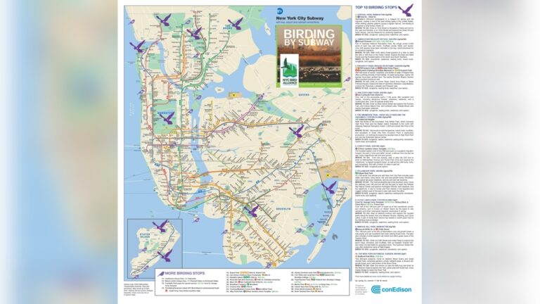 Bird Watching Hotspots