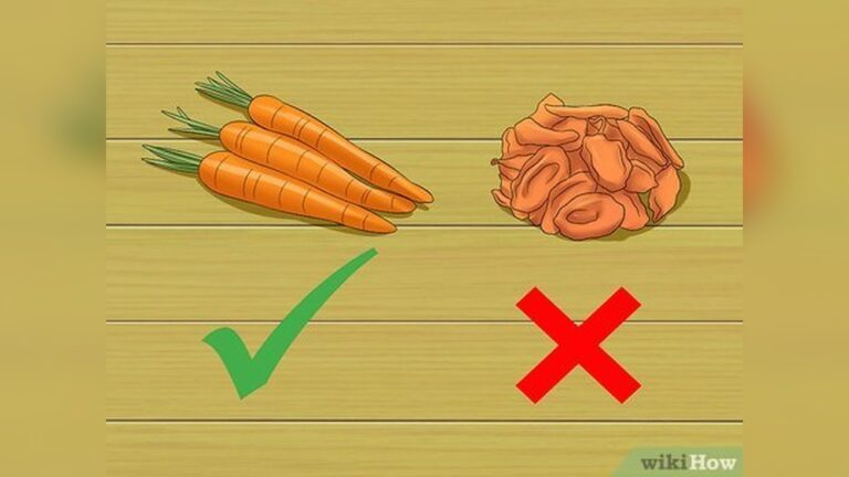 Can Hamsters Eat Carrots: Surprising Benefits & Risks Revealed