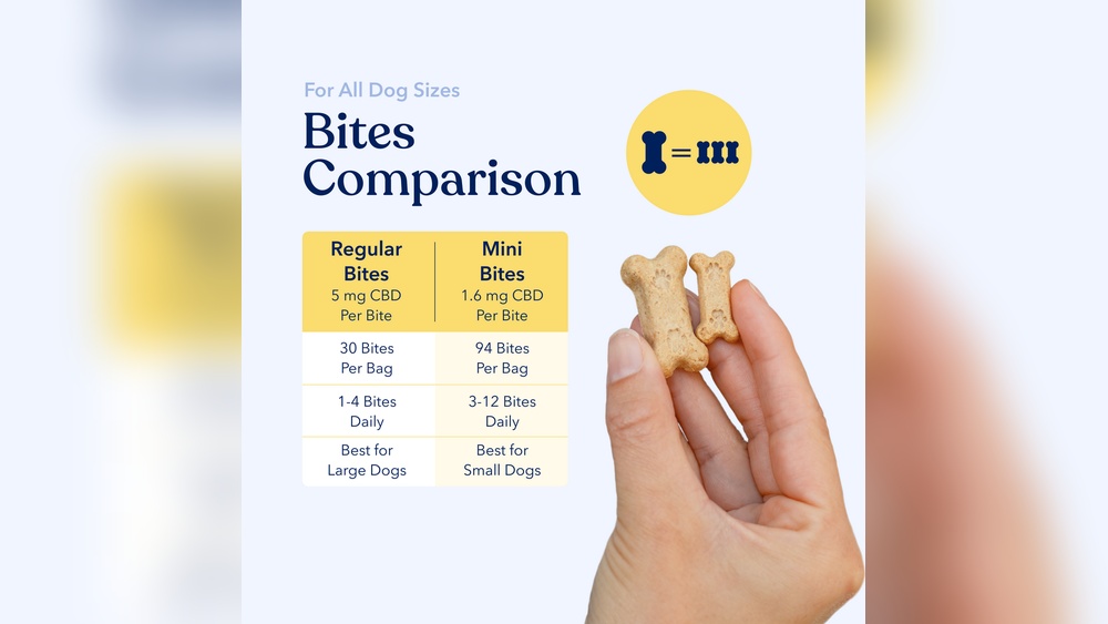 Cbd For Pets A Comparative Look At Dogs Vs Fish