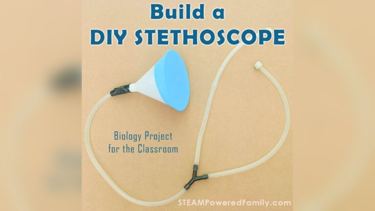 Diy Aquarium Projects For Biology Students