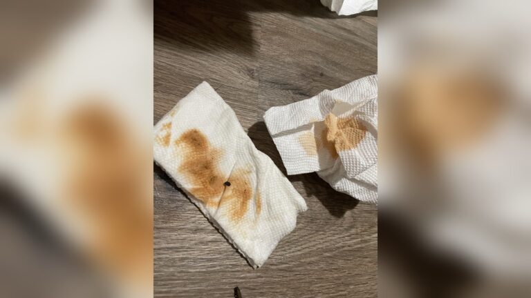 Do Chinchillas Pee: Surprising Facts Every Owner Should Know