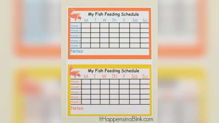 Fish Feeding Times