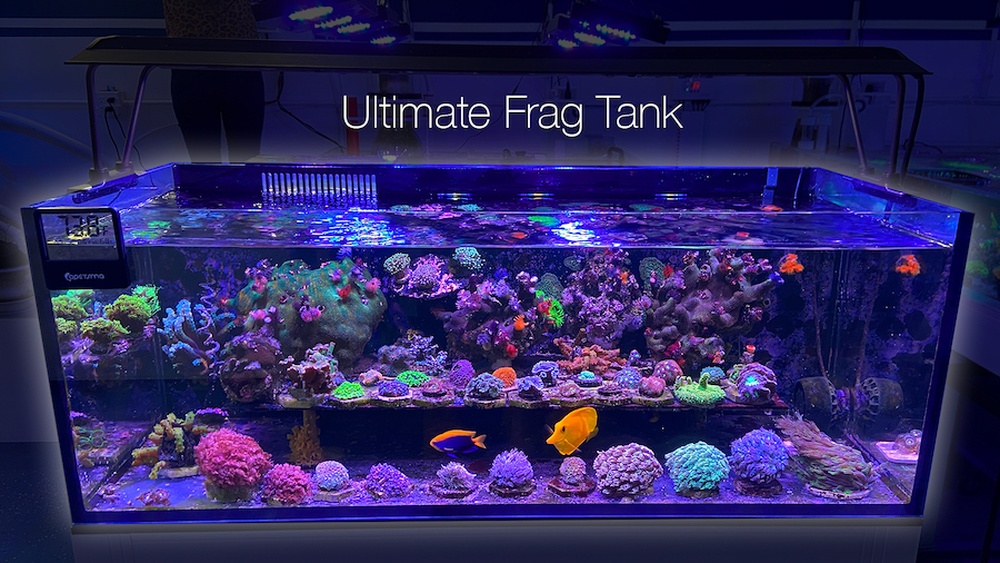 Frag Tank