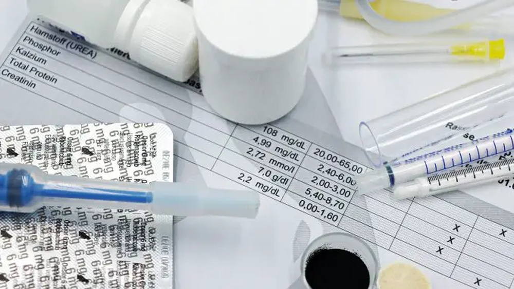 Heres How To Look For High Quality Dog Supplements This Summer