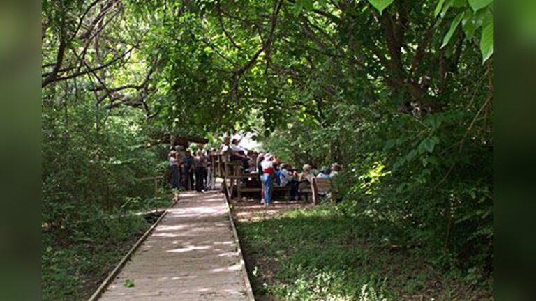 High Island Bird Sanctuary Texas