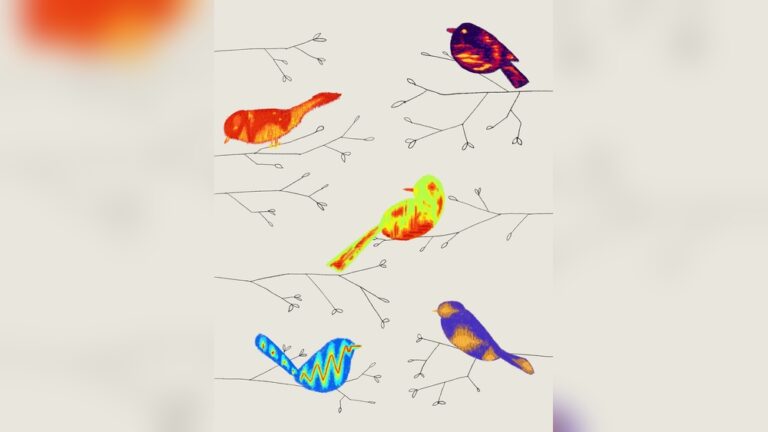 How Do Birds Vocalize Scientific Explanation