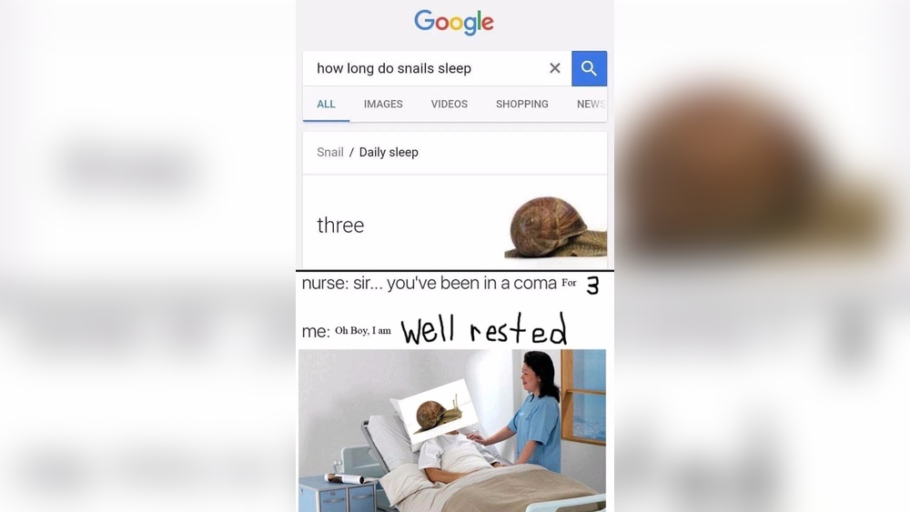 How Long Do Snails Sleep