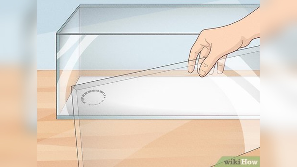 How To Build A Fish Tank