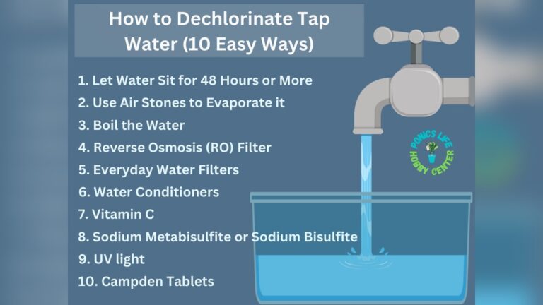 How To Dechlorinate Tap Water For Fish