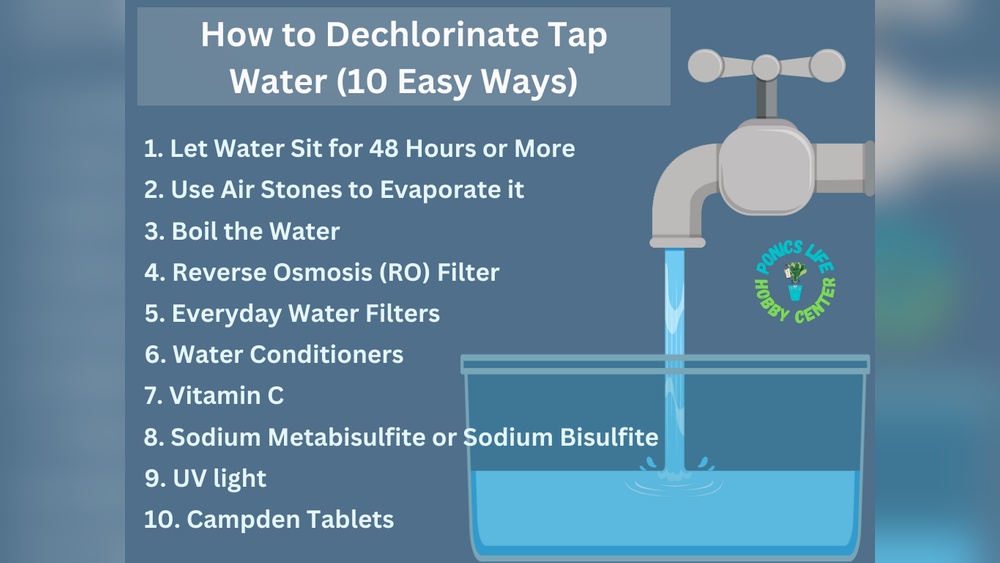 How To Dechlorinate Tap Water For Fish