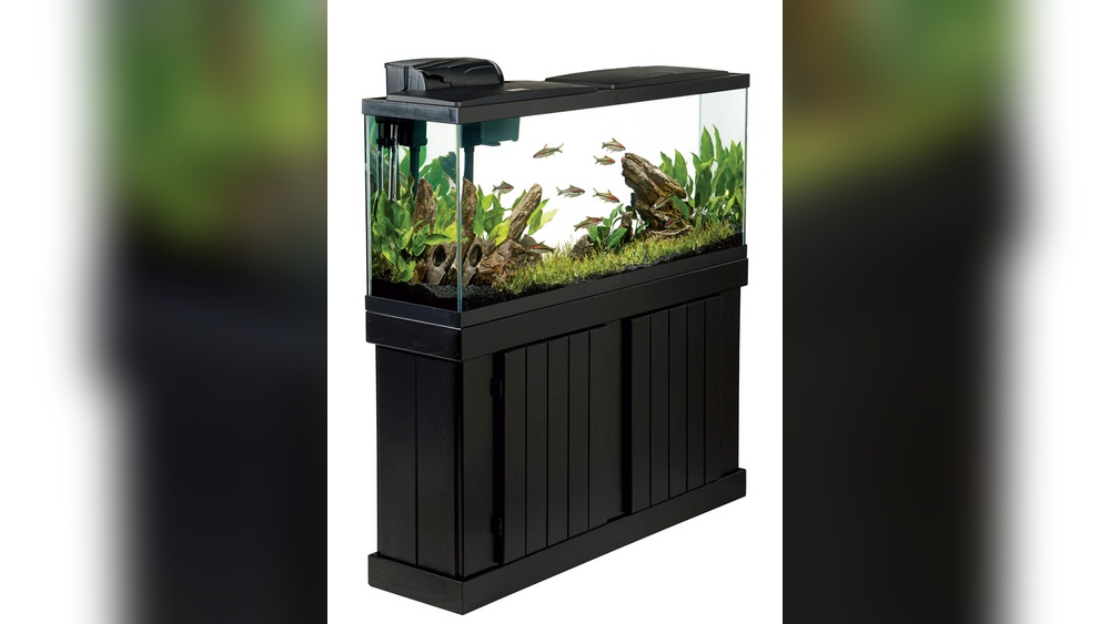 How To Set Up A Fish Tank