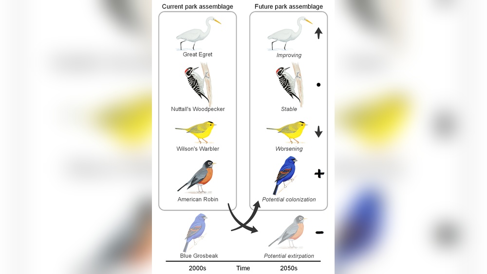 Impact Of Climate Change On Birds - Smart Pets Lover