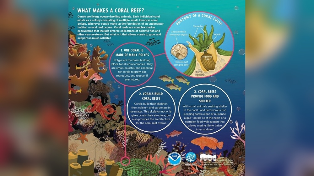 Integrating Fishkeeping With Environmental Science Studies