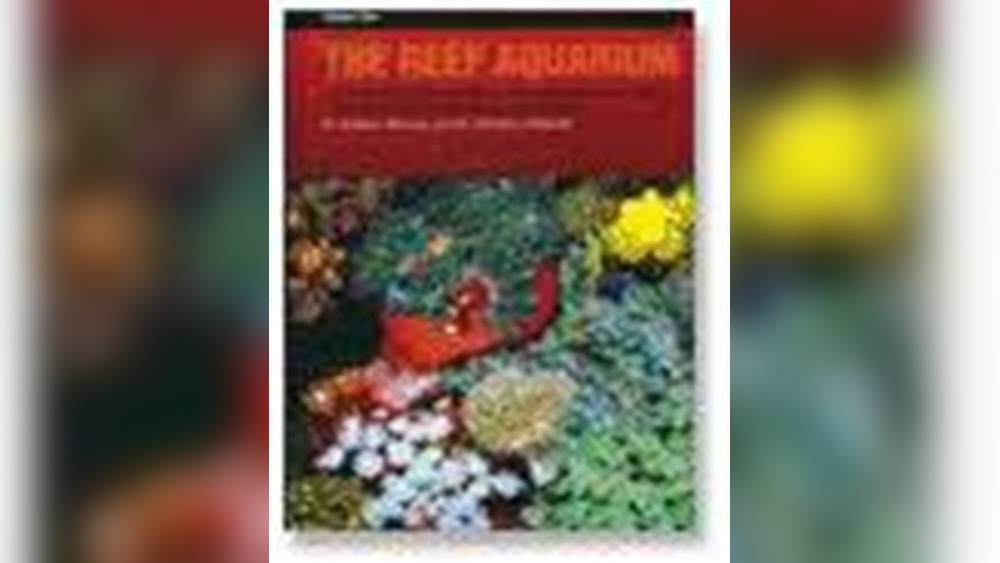 Invertebrates In The Aquarium Benefits And Care Tips