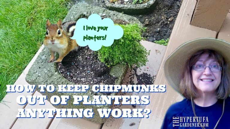 Keep Chipmunks Out Of Flower Pots: Easy Tips That Work Fast