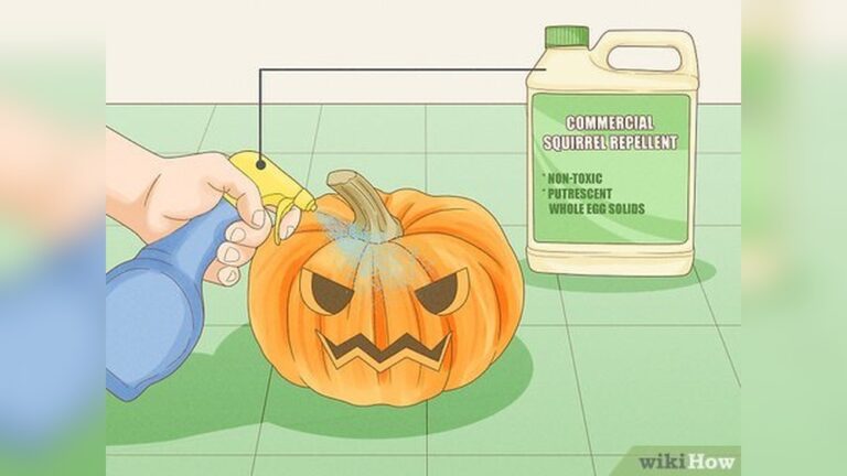 Keep Rodents From Eating Pumpkins: Easy Tips to Protect Your Harvest