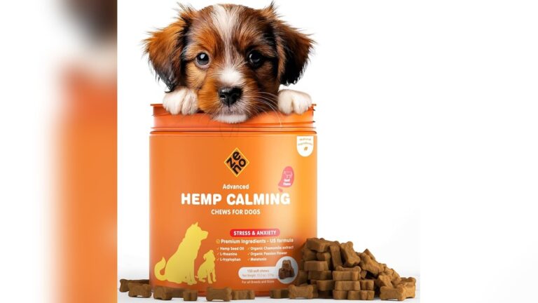 Reasons To Choose Cbd Treats For Your Dog To Overcome Anxiety