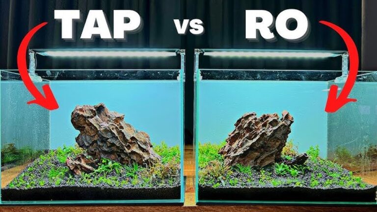 Reverse Osmosis In A Fish Tank