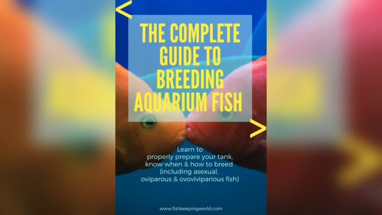 The Complete Eguide To Aquarium Fish Breeding