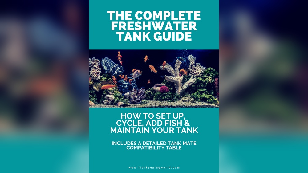 The Complete Eguide To Freshwater Tank Guide