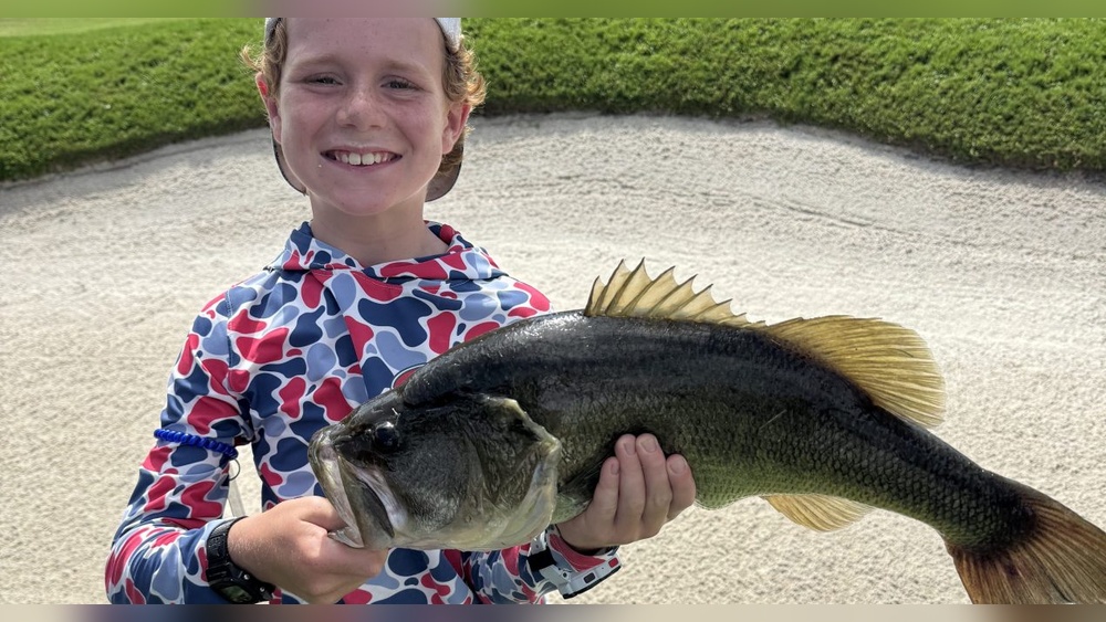 Top 8 Fisheries Blogs And Aquatic Life In 2025