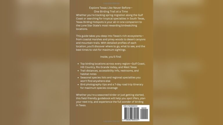 Top Birding Hotspots In Texas