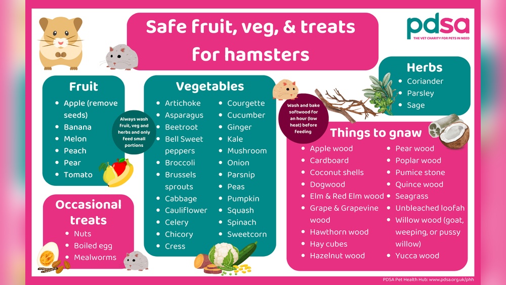What Do Hamsters Eat: Ultimate Guide to Healthy Hamster Diets