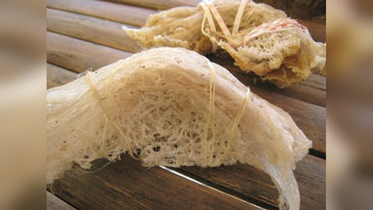 What Is Balinsasayaw Bird Nest