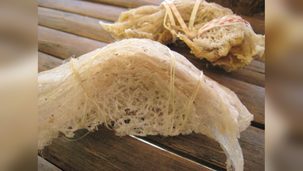 What Is Balinsasayaw Bird Nest