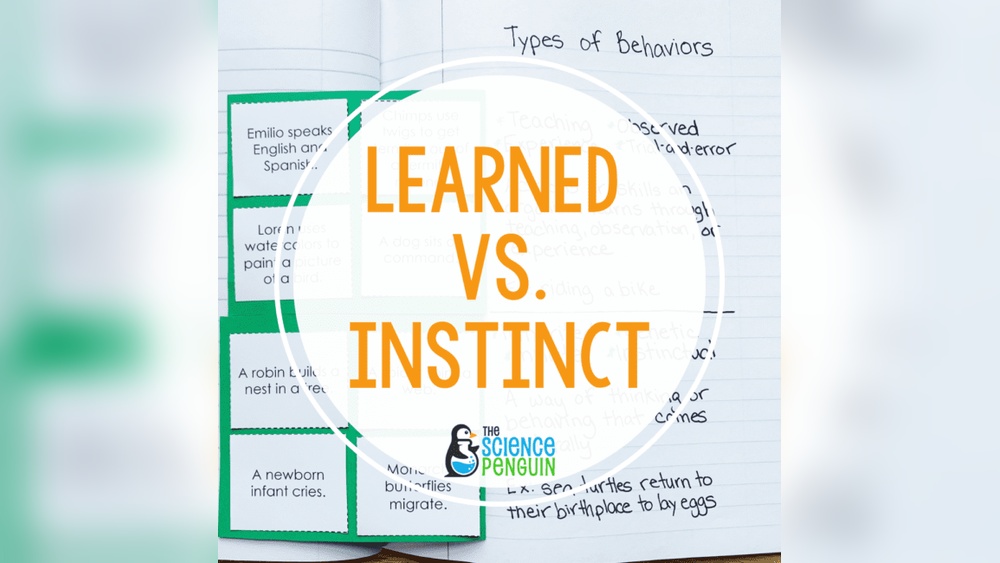 What Is Bird Behavior Instinct Vs Learned Behavior