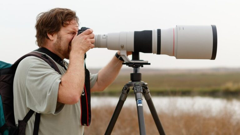 What Is The Best Camera For Bird Watching
