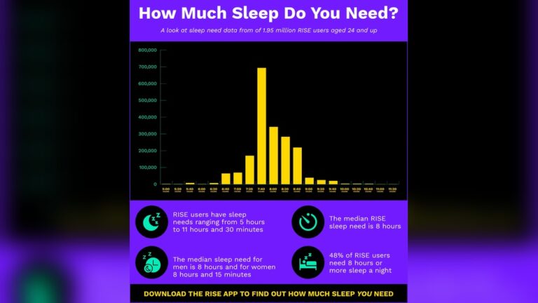 What Time Do Birds Wake Up Dive Into Their Habit